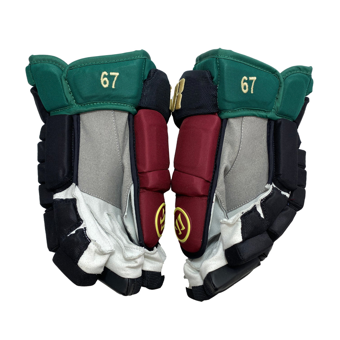 Warrior Alpha DX - Arizona Coyotes - Kachina Pro Stock Gloves - Lawson Crouse